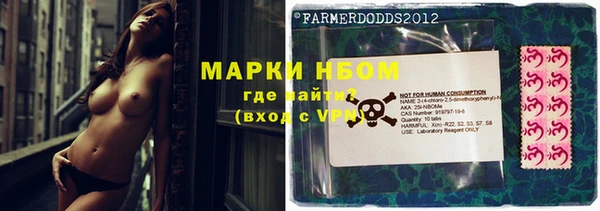 индика Каменногорск