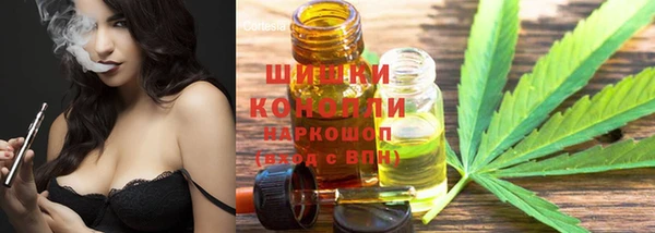 индика Каменногорск