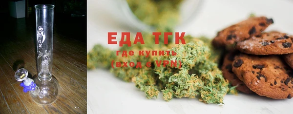 индика Каменногорск