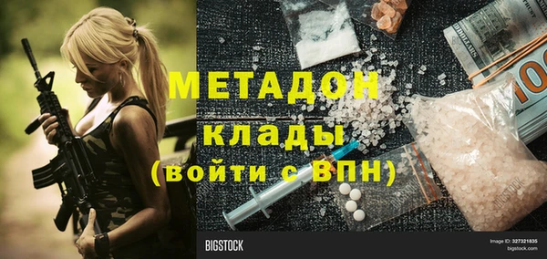 индика Каменногорск