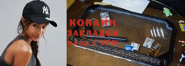 индика Каменногорск