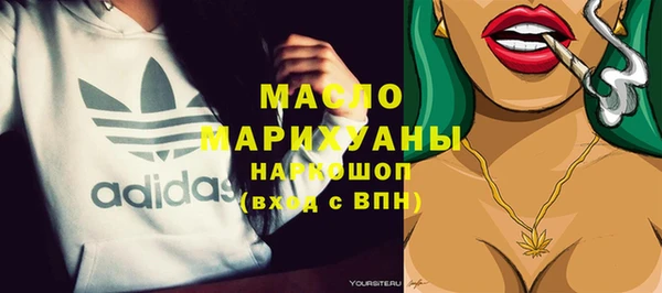 индика Каменногорск