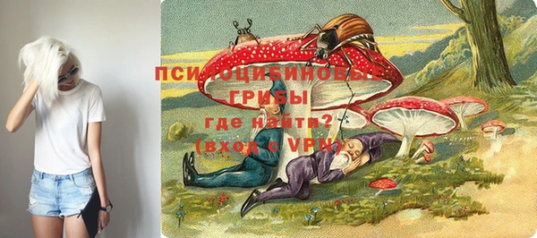 индика Каменногорск