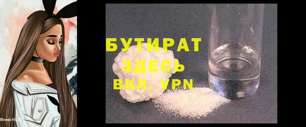 индика Каменногорск