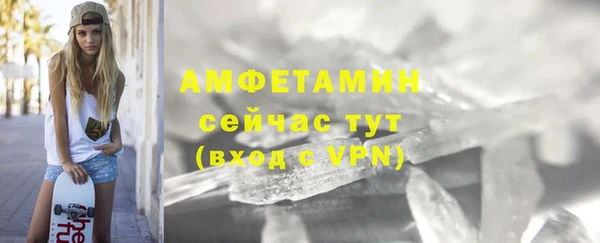 индика Каменногорск