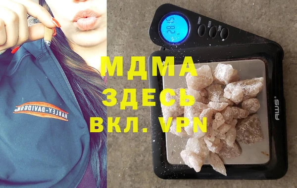 индика Каменногорск