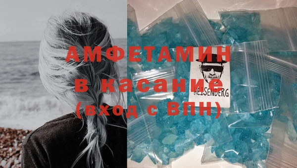 индика Каменногорск