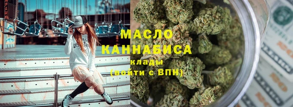 индика Каменногорск