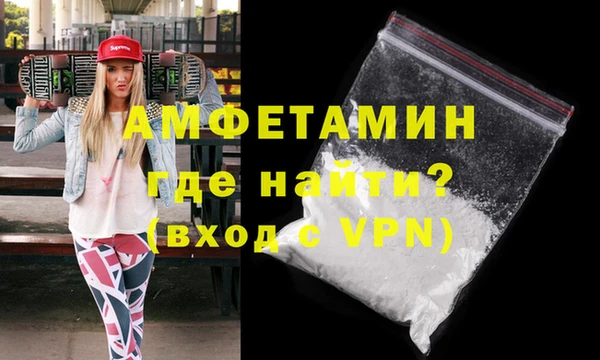 индика Каменногорск