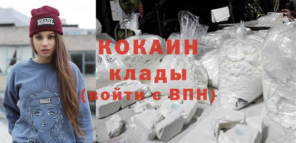 индика Каменногорск