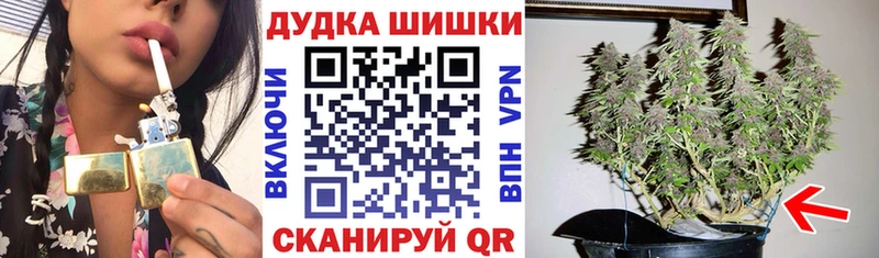 Бошки марихуана OG Kush  Купить закладки  Опочка 